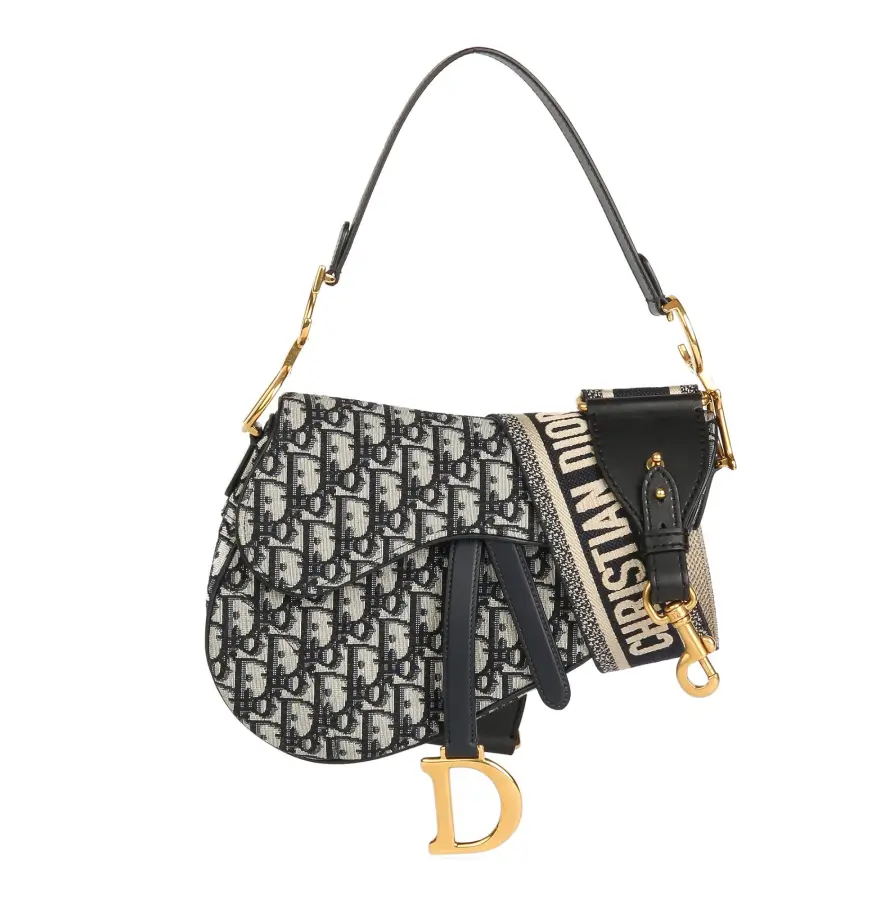 dior saddle bag On Sale - Authenticated Resale